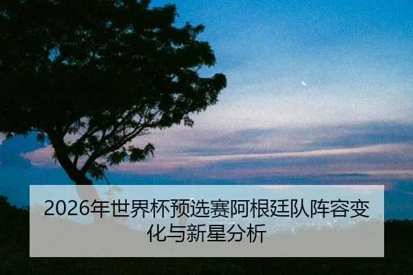 nian-shi-jie-bei-yu-xuan-sai-a-gen-ting-dui-zhen-rong-bian-hua-yu-xin-xing-fen-xi-2-364.jpg
