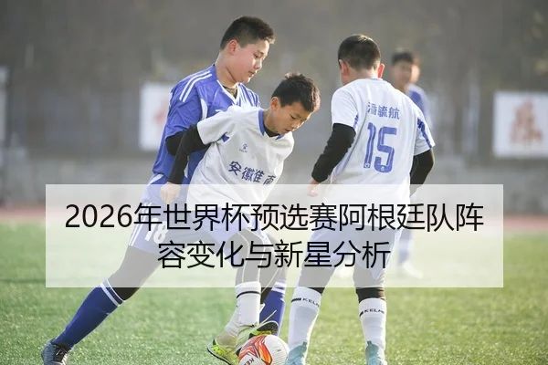 2026年世界杯预选赛阿根廷队阵容变化与新星分析