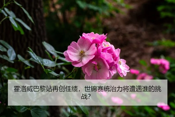 霍洛威巴黎站再创佳绩，世锦赛统治力将遭遇谁的挑战？
