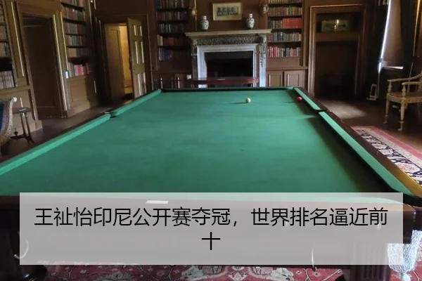 wang-zhi-yi-yin-ni-gong-kai-sai-duo-guan-shi-jie-pai-ming-bi-jin-qian-shi-2-129.jpg