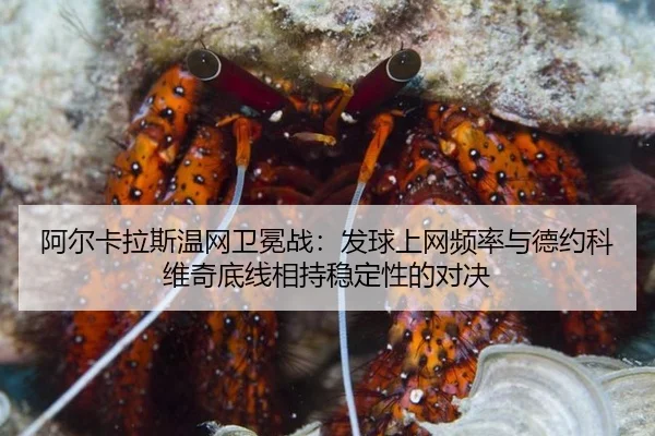 阿尔卡拉斯温网卫冕战：发球上网频率与德约科维奇底线相持稳定性的对决