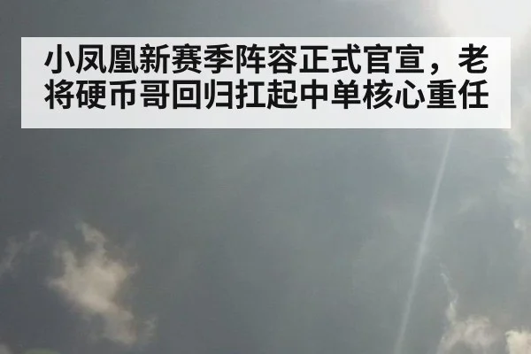 小凤凰新赛季阵容正式官宣，老将硬币哥回归扛起中单核心重任