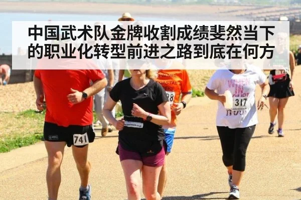 中国武术队金牌收割成绩斐然当下的职业化转型前进之路到底在何方